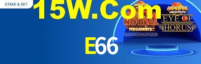 E66 App Interface