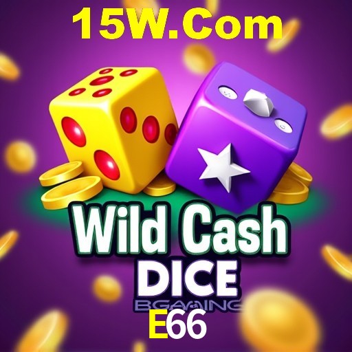 Apostas Esportivas na E66: Um Guia Completo