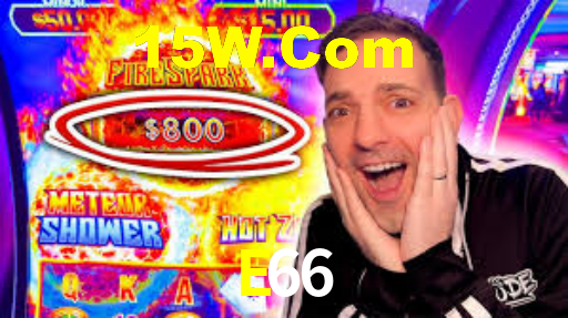 E66